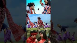 Rani guri sambalpuri song #mantuchuria#ashimapanda#sambalpurisong#lovestatus#viral#short