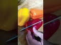 Mini Sweet Peppers #shortvideo #viralvideo #asmr #peppers