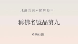 稱佛名號品第九｜《地藏經》轉經｜喵黛麗塔羅