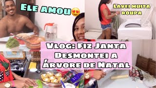 🔥VLOG: FIZ JANTA DELÍCIA | LAVEI ROUPA e DESMONTEI A ÁRVORE 😊