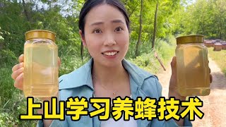 朋友爷爷在山里养蜂，小两口跟着去学习养蜂技术，还尝到了好喝的蜂蜜！【小惠与二狗】