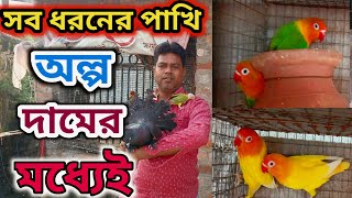 দাদার বাড়িতে এত সস্তায় রঙিন পাখি এই প্রথম দেখলাম Serampore pet market  serampore Bird market