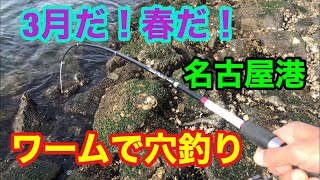 3月だ！春だ！名古屋港ワームで根魚穴釣り