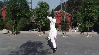 武當玄功拳 1 - Wudang Xuangongquan 1