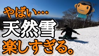 天然雪最高‼️12/10たんばらスキーパークが楽しすぎた件