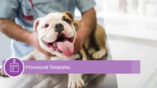 More Cases, More Chaos: How Neo Veterinary Software Can Help Manage an Increased Patient Load