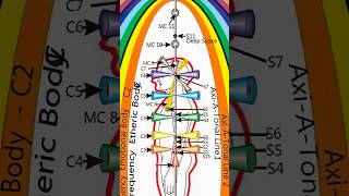 15 Chakras Revealed: The Hidden Truth Beyond the 7 Chakras