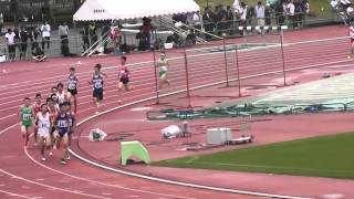 2015.5.4　大阪IH地区予選　1日目　1500m　青野