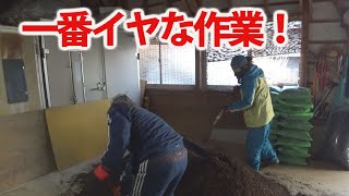 【会社員実家農業手伝う】2021葉たばこ肥土混ぜ作業いよいよ始まりました（汗）一番嫌な作業編