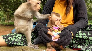 Reaction of Drinking milk for Lovely abandoned monkey as like Mom Joie   Baby Jenifer, Royston, Dawn