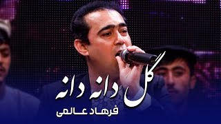 Farhad Alami - Gul Danah Danah | فرهاد عالمی - گل دانه دانه