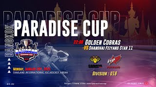 Golden Cobras VS Shanghai Feiyang Star 11 | Division U16 | Paradise cup 2025