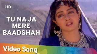 Tu Na Ja Mere Badshah | Amitabh Bachchan | Sridevi | Khuda Gawah | Bollywood SuperHit Songs [HD]