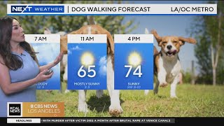 Amber Lee's Morning Weather (May 29)