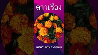 ดอกไม้สำหรับใส่กระทง เสริมโชค ลาภ วันลอยกระทง #ลอยกระทง #โชคลาภ