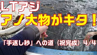 9月29日　ライトアジ　アノ大物がキタ！！ 「手返し秒」への道4/4