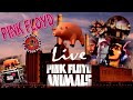 Pink Floyd - Animals / Live-Perfomance