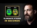 Neuroscientist: You Will NEVER Feel Stressed Again | Andrew Huberman