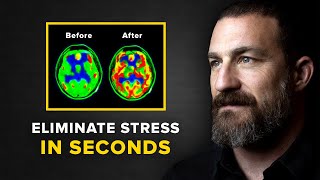Neuroscientist: You Will NEVER Feel Stressed Again | Andrew Huberman