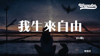 何艺佳 - 我生来自由 (DJ版)「我生来是不羁的鸟 是自由的风」【動態歌詞/pīn yīn gē cí】#何艺佳 #我生来自由 #動態歌詞