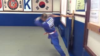 ippon seoi nage practice demo