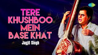 तेरी खुश्बू में बसें खत | Jagjit Singh Ghazals | Old Songs | Sad Poem | Urdu Lyrics | Love Song