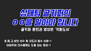 상대팀 골키퍼의 ㅇㅇ을 알아야 이길수있습니다/ 분석의 중요성