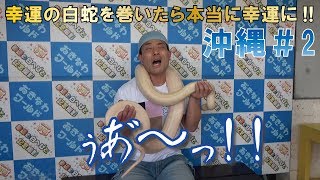 【沖縄＃2】幸運の白蛇を巻いたら本当に幸運に!!