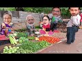 হাসিনার সবজির দুকানে ঝগড়া modi and hasina funny video sheikh hasina funny video