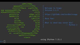 Scapy send and sniff
