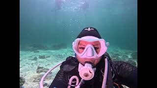 Go Dive 2023.12.13 #crystalclearthailand