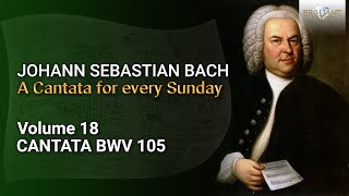 J.S. Bach: The Church Cantatas, Vol. 18: Herr, gehe nicht ins Gericht, BWV 105