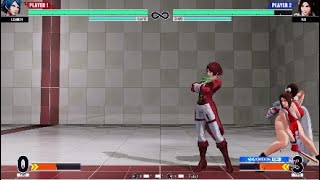 [KofXV] Elisabeth can reflect almost anything