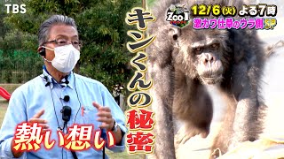 激カワ仕草のウラ側SP！キンくんの秘密に迫る!!『ZOO-1グランプリ』12/6(火)【TBS】