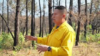 🌲🔥 ¿Sabes la diferencia entre una quema prescrita o controlada y un incendio forestal? 🔥