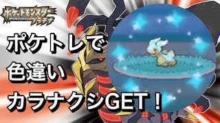 【ポケトレ】東カラナクシ色違い3匹ゲット！プラチナ shiny Shellos