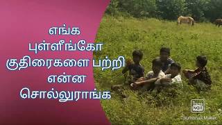 எங்க புள்ளீங்கோ குதிரைகளை பற்றி என்ன சொல்லுராங்க... கொஞ்சம் பாருங்க....