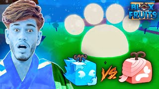 JOGUEI PVP PELA PRIMEIRA VEZ DEPOIS DE 1 ANO SEM JOGAR BLOX FRUITS - ICE VS PATA