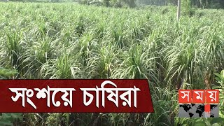 চরম অভাবে দিন কাটছে শ্রমিক-কর্মচারীদের! | Jhenaidah Sugar Mill | Somoy TV