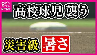 【甲子園】試合を朝と夕方に分ける『2部制』夏の大会から導入「「これだけ暑くなってきて選手の安全を守る策を何かやらないという思いが、球場、高野連も意をくんでくれて納得していただいた」〈カンテレNEWS〉