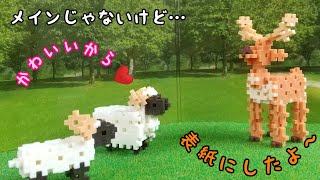 パズル ブロック草原🌱経由～隙間でまったりな猫😸