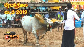 மிரட்டுநிலை வடமாடு மஞ்சுவிரட்டு 2019 | திமில் - ThimiL