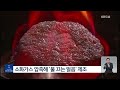 고층건물에 불 나면… 불 끄는 얼음 가스 하이드레이트 소화탄 개발 kbs 2022.11.24.