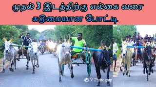 நெய்வாசல் நடுமாடு || 16-09-2021 || V Photography