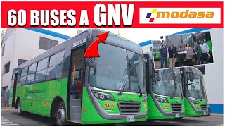 60 buses Modasa a GNV para Móvil Express | Modelo Titán Urbano