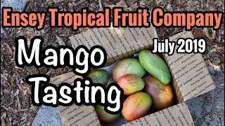 Special Tasting Table! Mangos from Ensey Tropical Fruit Company!