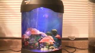 Discovery Kids Jellyfish Tank