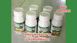 ชุดปุ๋ย​Max4 ​สูตรป้องกันราดำ​ แก้ยางตายนึ่ง ชนิดพ่นและทา​ ฟื้นฟูหน้ายางนิ่ม​ น้ำยางไหลนาน%ดี