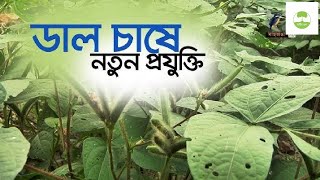 কাতি কালাই চাষ পদ্ধতি #vairalvideo #foryou #কৃষি