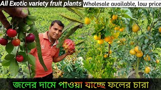 200 variety fruit plants available // 200 किस्म के फलदार पौधे उपलब्ध लाइव नर्सरी पश्चिम बंगाल